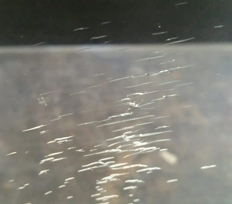 نحوه جلوگیری و از بین بردن خراش پلکسی گلاس