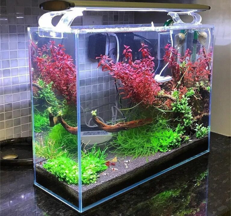 سفارش طراحی و ساخت اکواریوم با پلکسی گلاس (لیست قیمت + خرید آنلاین)